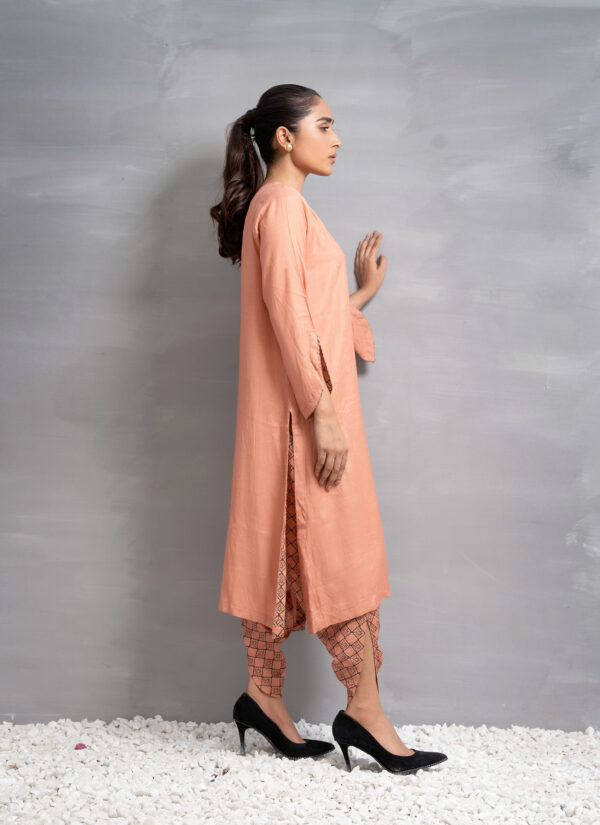 Raw Silk Pret 2 Piece SRP-0B5 - Image 3